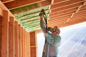 Types of Insulation We Offer in Morrice, MI